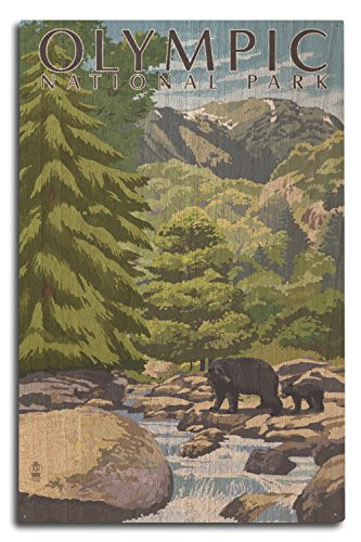 Lantern Press Olympic National Park Washington Bear Family and Creek -10x15 Wood Wall Sign Wall Decor Ready to Hang-