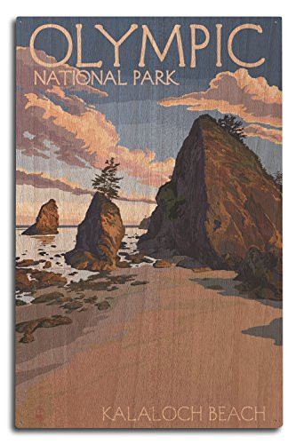 Lantern Press Olympic National Park Washington Kalaloch Beach -10x15 Wood Wall Sign Wall Decor Ready to Hang-