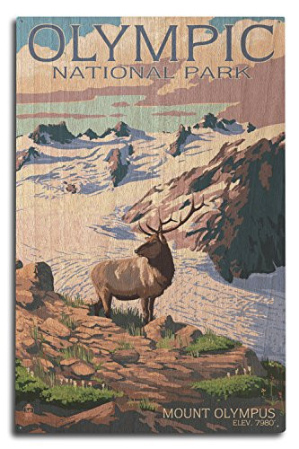 Lantern Press Olympic National Park Washington Mt. Olympus and Elk -10x15 Wood Wall Sign Wall Decor Ready to Hang-