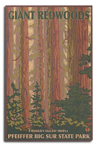 Lantern Press Pfeiffer Big Sur Park California Giant Redwoods -10x15 Wood Wall Sign Wall Decor Ready to Hang-