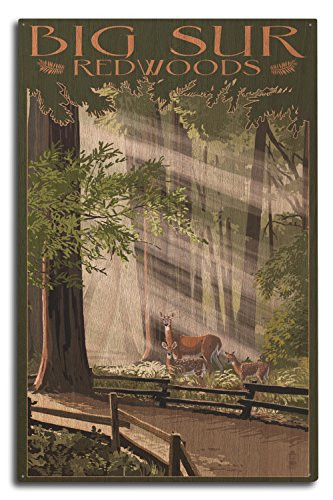 Lantern Press Big Sur California Deer and Fawns -10x15 Wood Wall Sign Wall Decor Ready to Hang-