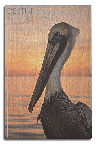 Lantern Press Destin Florida Pelican -10x15 Wood Wall Sign Wall Decor Ready to Hang-