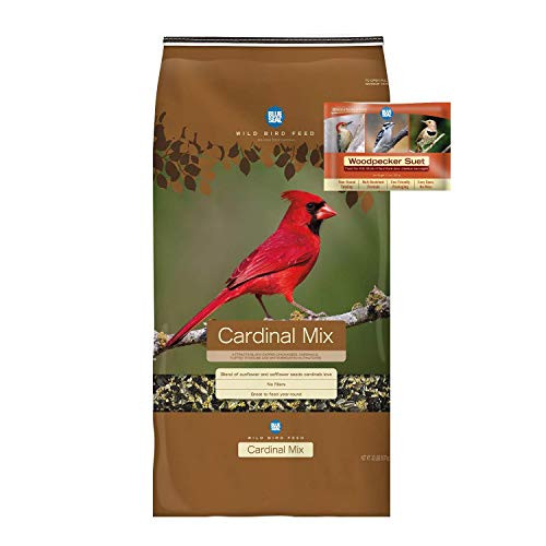 BLUE SEAL Cardinal Mix Bird Seed  and  Woodpecker Suet Cake Bundle