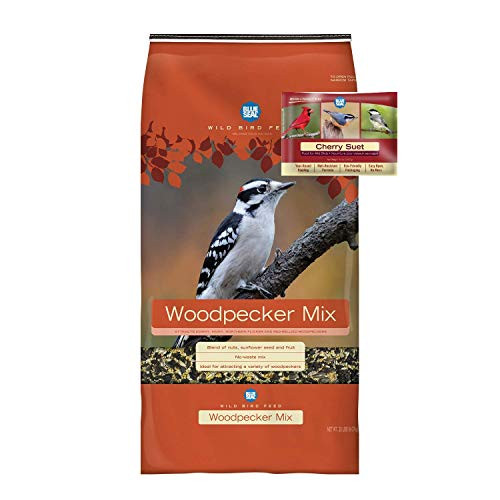 BLUE SEAL Woodpecker Mix Bird Seed  and  Cherry Suet Cake Bundle