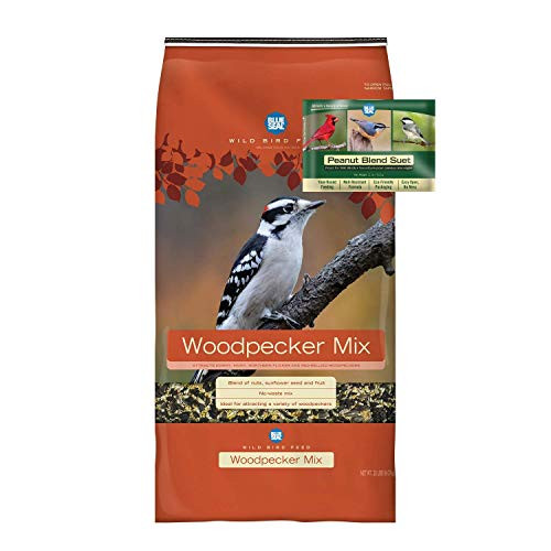 BLUE SEAL Woodpecker Mix Bird Seed  and  Peanut Suet Cake Bundle