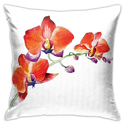 Pooizsdzzz Orchid Flower Branch with Vivid Color Petals Blossom Botany Blooms Decorative Throw Pillow CoversModern Design Bed or Sofa Pillows Case 18 x 18 inch Pooizsdzzz Orchid Flower Branch with Vivid Color Petals Blossom Botany Blooms Decorative Throw Pillow CoversModern Design Bed or Sofa Pillows Case 18 x 18 inch