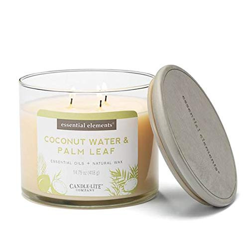 Candlelite Scented Coconut Water  and  Palm Leaf 3-Wick Jar Candle 14.75 oz Off White.