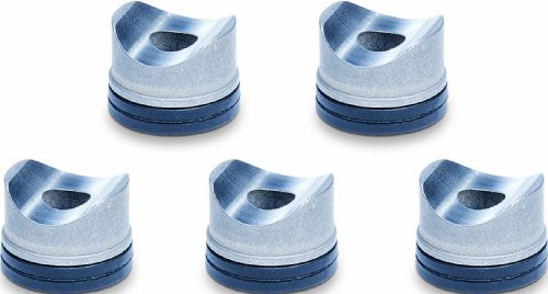 Graco 246453 RAC X One Seals Tip Gaskets for Airless Paint Spray Guns 5-Pack  Gray