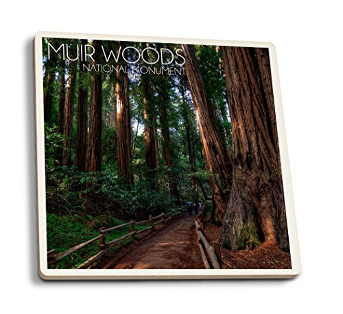 Lantern Press Muir Woods National Monument California Path #2 Photograph -Set of 4 Ceramic Coasters Cork-Backed Absorbent-