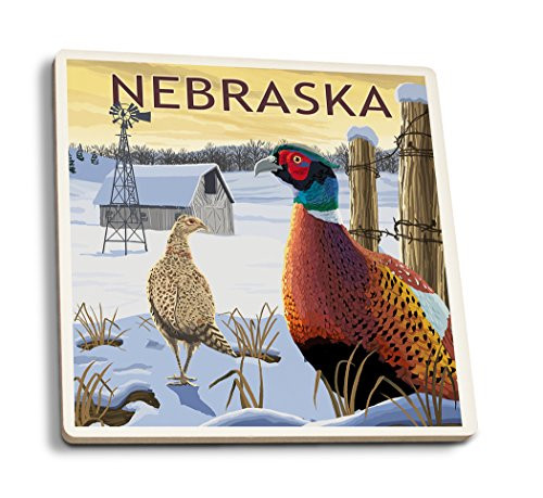 Lantern Press Nebraska Pheasants -Set of 4 Ceramic Coasters Cork-Backed Absorbent-