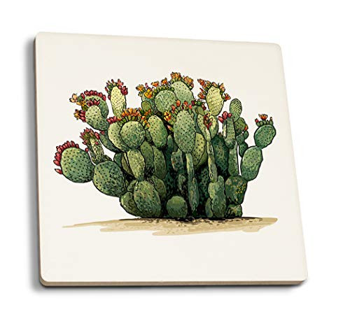 Lantern Press Prickly Pear Cactus -Set of 4 Ceramic Coasters Cork-Backed Absorbent-