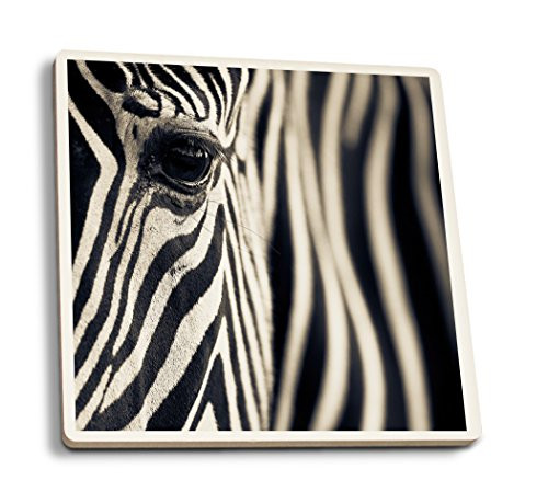 Lantern Press Zebra Up Close -Set of 4 Ceramic Coasters Cork-Backed Absorbent-