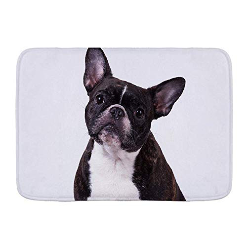 MISCERY191 Bathroom Rugs Bath MatAdorable French BulldogNon Slip Shower Mat Super Cozy Floor Rug Doormats Carpets Bathroom Decorations