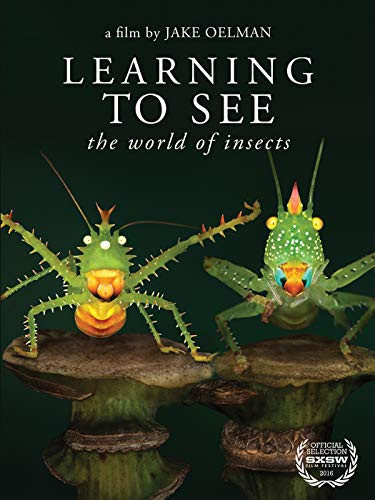 Learning to See- The World of Insects