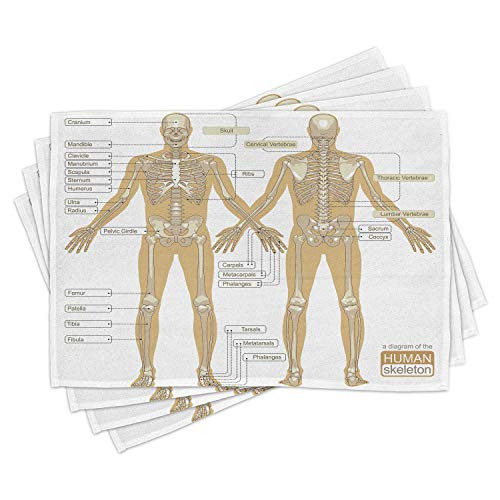 Ambesonne Human Anatomy Place Mats Set of 4 Diagram of Human Skeleton System with Titled Main Parts of Body Joints Picture Washable Fabric Placemats for Dining Room Kitchen Table Decor White Tan