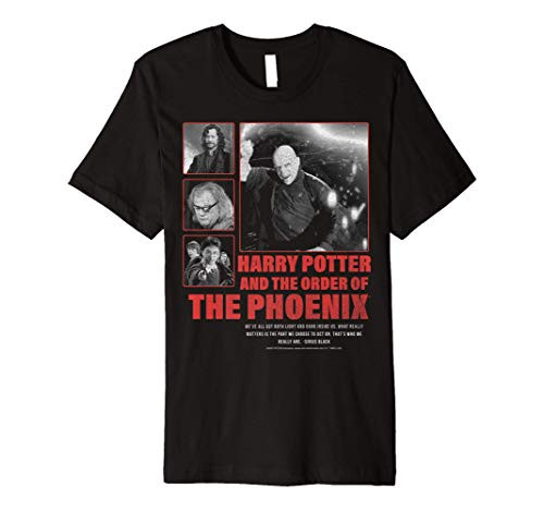 Harry Potter And The Order Of The Phoenix Panel Poster Premium T-Shirt