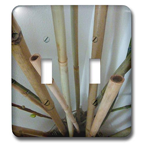 3dRose LLC lsp_14526_2 Mess of Bamboo Double Toggle Switch