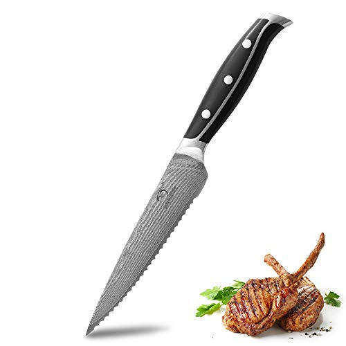 Serrated Utility Knife 5.5 Inch WanRui Series Professional Kitchen Knife Forged with VG-10 Super Steel 67-Layer Damascus Non-slip ABS Ergonomic Triple Rivet Handle Razor Sharp Lightweight