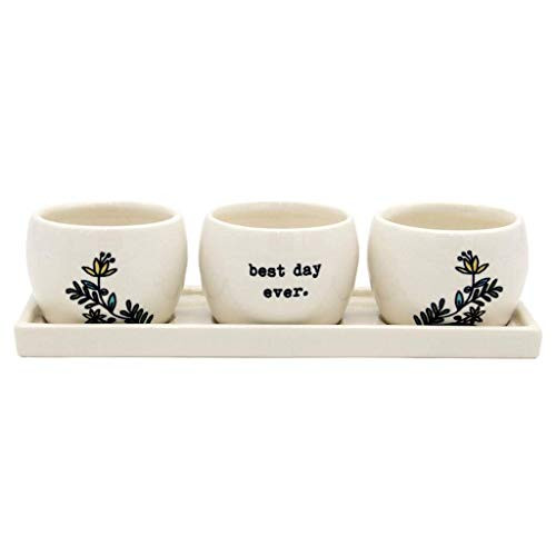 DEI Best Day Planters with Tray 2.5" x 8.5" Multicolored