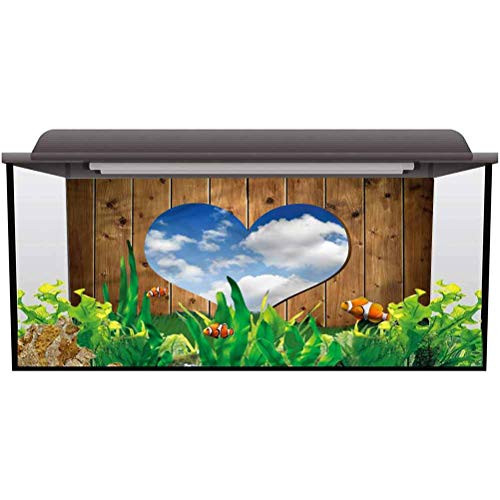 ScottDecor Aquarium Background Picture LoveWooden Door with Heart Clouds Paper Cling L24 X H24 Inch ScottDecor Aquarium Background Picture LoveWooden Door with Heart Clouds Paper Cling L24 X H24 Inch