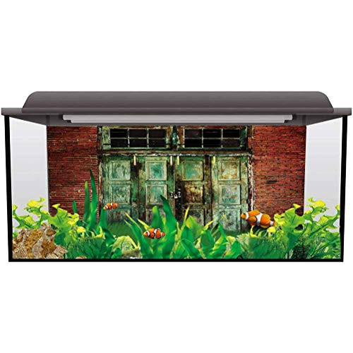 ScottDecor Seabed World Backdrop RusticRusty Old Retro Door PVC Adhesive L24 X H24 Inch ScottDecor Seabed World Backdrop RusticRusty Old Retro Door PVC Adhesive L24 X H24 Inch