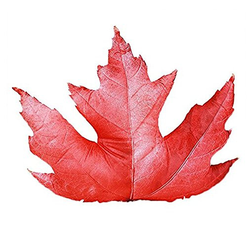Skyseen 3D Simulation Leaf Throw Pillow  and  Creative Lumbar Back Cushion  and  Vivid Plush Stuffed ToyMaple Leaf