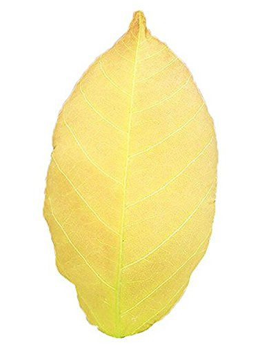 Skyseen 3D Leaf Throw Pillow Soft Plush Bolsters Stuffed Toy Home Decoration Camphor Leaf