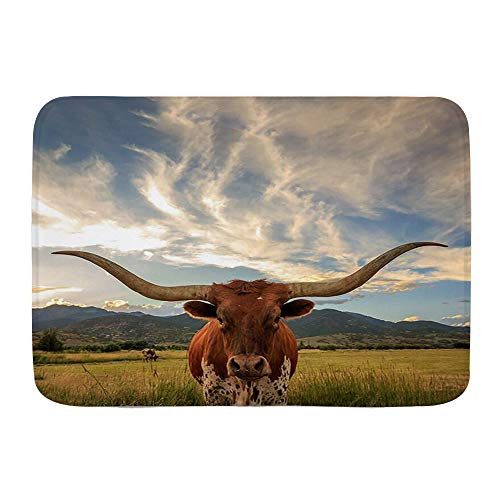NISENASU Bathroom Rug Soft Absorbent Durable Non Slip Bath MatLonghorn Cow Texas Longhorn Steer in Rural Utah USA Bath Curtains Farm AnimalsMachine Washable Rectangle Bath Rug Natural Floor Rugs
