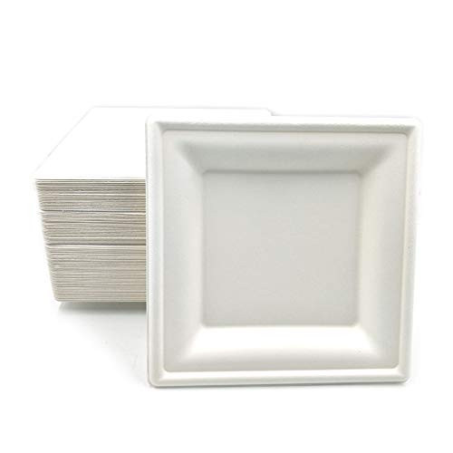 Disposable Eco-Friendly Biodegradable Bagasse Tableware Sugarcane Fiber Dinner Plates Compostable Disposable Square Plates Dessert Dinnerware for Party BBQ Wedding -100 8inch square-
