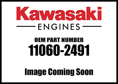 Kawasaki Engine Ktr26ac Gasket 11060-2491 New OEM