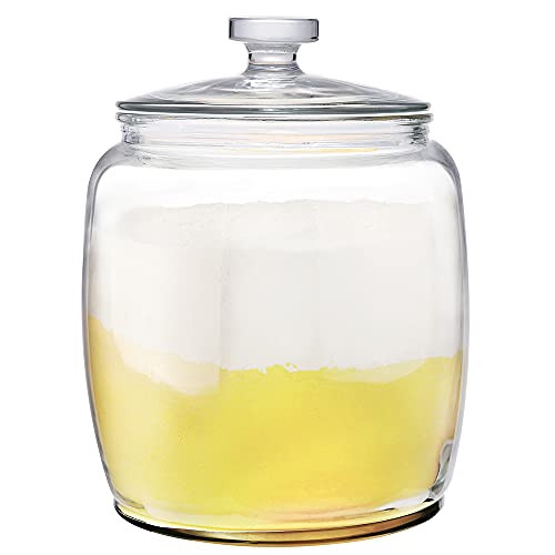 Daitouge 2.5 Gallon Glass Jars with Lids Heavy Duty Glass Storage Canisters for Food Storage Set of 1