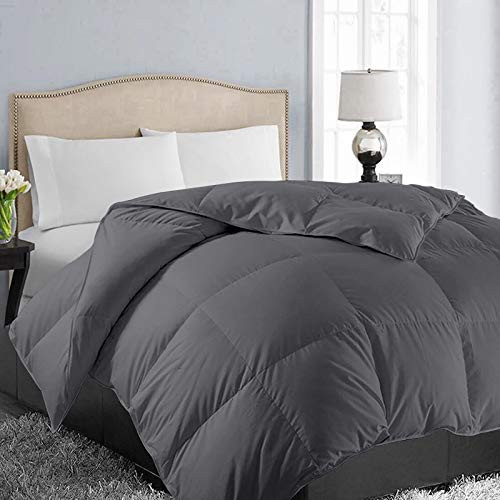 EASELAND All Season Queen Size Soft Quilted Down Alternative Comforter Reversible Duvet Insert with Corner TabsWinter Summer Warm Fluffy HypoallergenicDark Grey88x88 inches