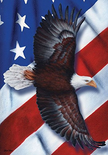 Briarwood Lane Patriotic Eagle Fourth of July House Flag Soaring USA 28" x 40"