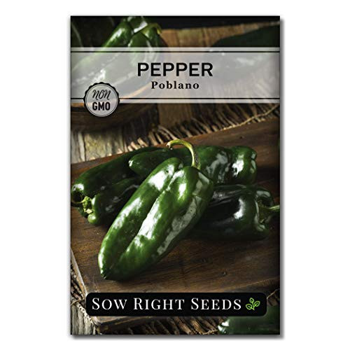 Sow Right Seeds - Poblano Pepper Seeds for Planting - Make Ancho Chiles at Home - Non-GMO Heirloom Packet with Instructions to Plant a Home Vegetable Garden