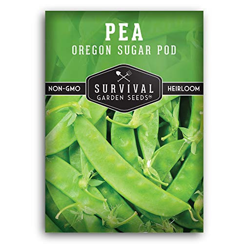 Survival Garden Seeds -Oregon Sugar Pod II Pea Seed for Planting - Packet with Instructions to Plant and Grow in Your Home Vegetable Garden - Non-GMO Heirloom Variety