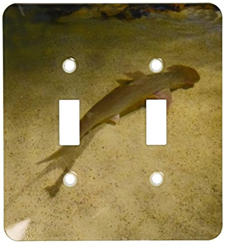 3dRose lsp-59213-2 Tiny Little Shark Taking A Swim At The Boston Aquarium Double Toggle Switch