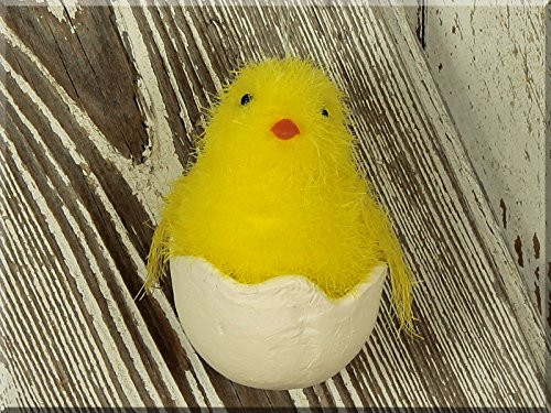 Small Spring Fuzzy Yellow Chick in Egg - Ornament Set of 4