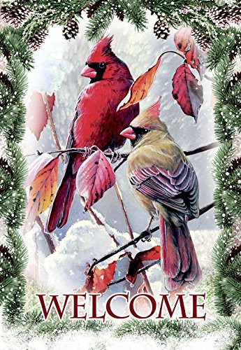 Morigins Welcome Cardinals Double Sided Winter Christmas House Flag 28"x40"