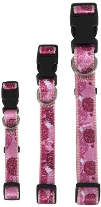 Aspen Pet 11459 Collar for Pets 3-4 by 14 to 20-Inch Flower Burst Pink