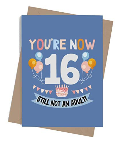 Funny 16th Birthday card for boy or girl with envelope  Unique and original card for son daughter grandson or granddaughter  You're 16 Now