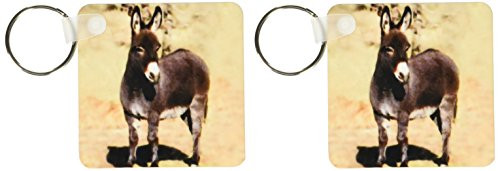 3dRose Miniature Donkey - Key Chains, 2.25 x 4.5 inches, set of 2 (kc_1236_1)