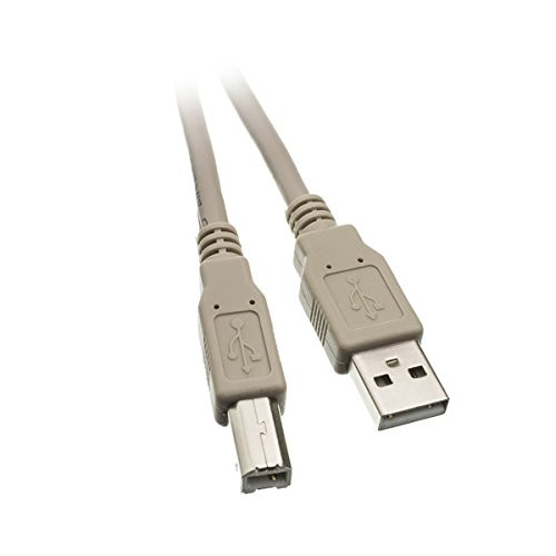6 feet USB 2.0 Printer-Device Cable Beige Type A Male-Type B Male Plug A Male to B Male High Speed USB Cable USB 2.0 to Type B Cable Type B Printer Cable CableWholesale
