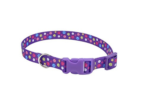 Pet Attire Styles Adjustable Dog Collar Special Paw Pattern 3-4" x 14-20"