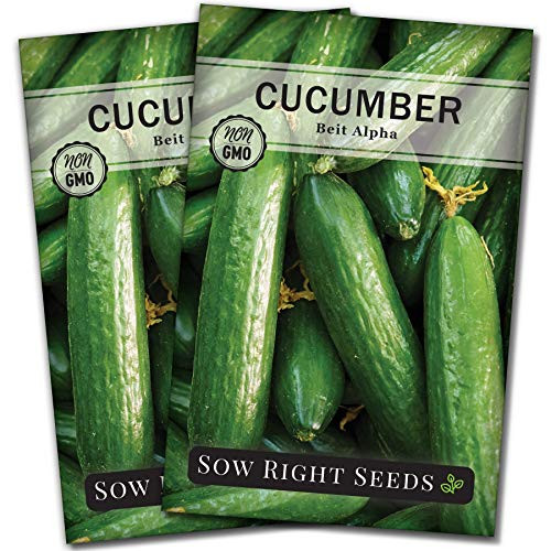 Sow Right Seeds - Beit Alpha Cucumber Seeds for Planting - Non-GMO Heirloom Seeds with Instructions to Plant and Grow a Home Vegetable Garden - Great Gardening Gift -2-