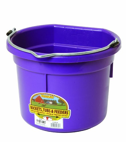 LITTLE GIANT Flat-Back Dura-Flex Plastic Bucket, 8-Quart, Purple