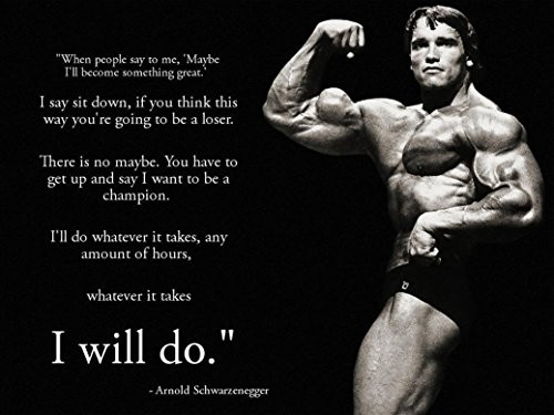 Arnold Schwarzenegger Inspiration Bodybuilding Poster 17 inch x 13 inch