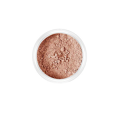 FeiFei66 Powder Loose Face Powder Translucent Smooth Setting Foundation Makeup Blusher Rouge -E-