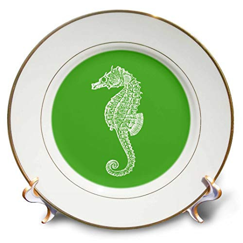 3dRose cp-164958-1 Green Seahorse Print. Sea Horse. Ocean Marine Beach Aquarium Aquatic - Porcelain Plate 8" 3dRose cp-164958-1 Green Seahorse Print. Sea Horse. Ocean Marine Beach Aquarium Aquatic - Porcelain Plate 8"