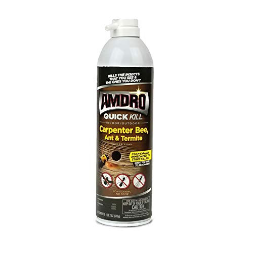 Amdro 100530435 Quick Kill Carpenter Bee Ant and Termite Killer Foam 18 OZ