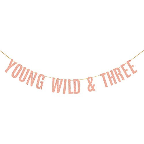 Rose Gold Glitter Young Wild and Three Banner 3rd Birthday Banner Cheers to 3 Years Kids Birthday Party Decorations Supplies Rose Gold Glitter Young Wild and Three Banner 3rd Birthday Banner Cheers to 3 Years Kids Birthday Party Decorations Supplies